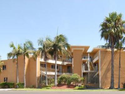 Resort Express And La Jolla - Windansea Beach, And Ihg San Diego